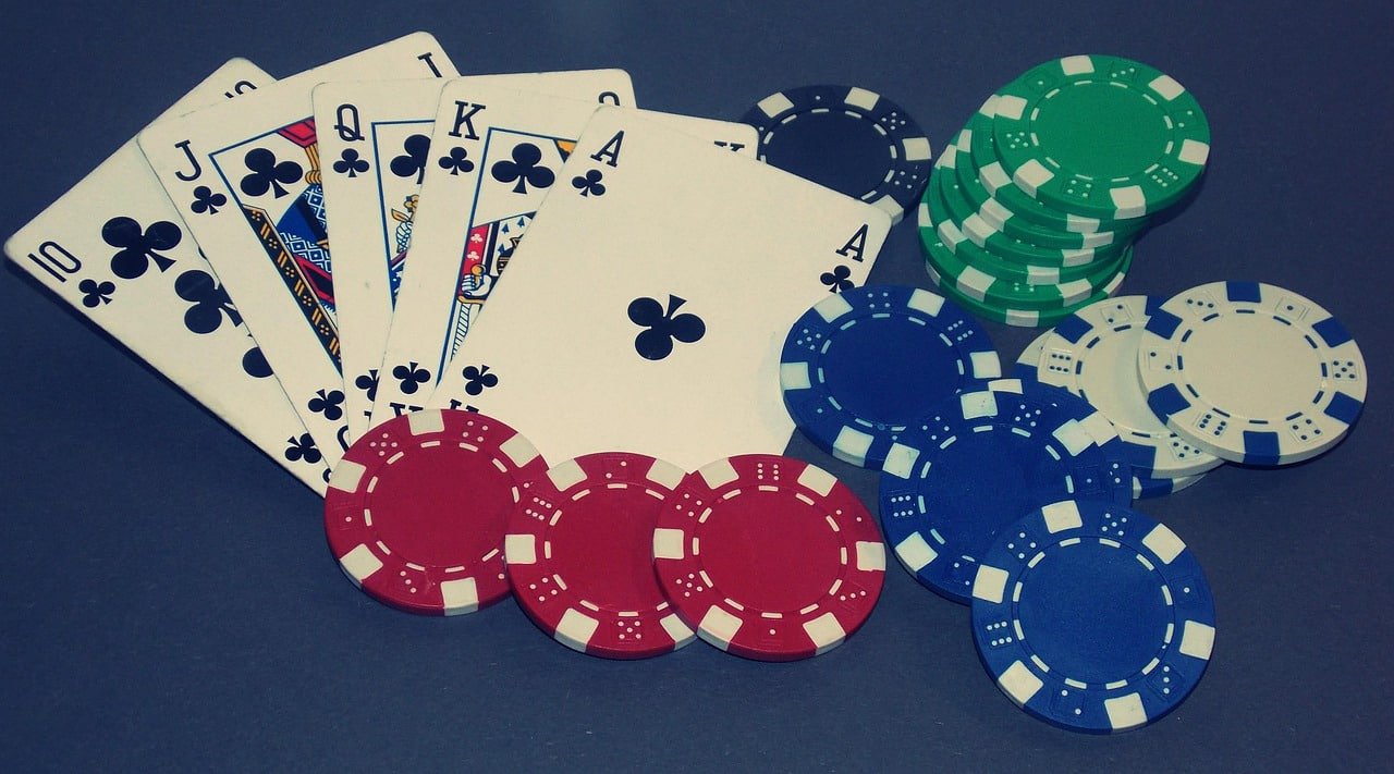 zoochosis featured game showcase zoochosis featured game showcase